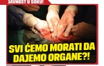 transplantacija