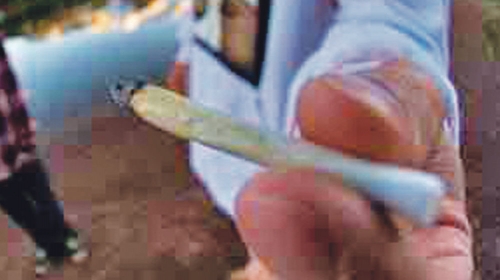 Marihuana