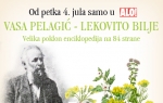 (kliknite na sliku za uvećanje)