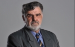 Živica Tucić