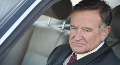 Robin Vilijams