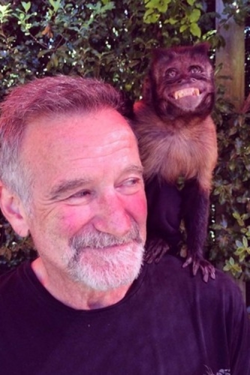 Robin Vilijams