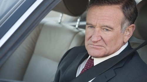 Robin Vilijams