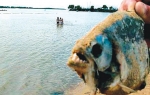 Užas u argentinskoj reci Parana
