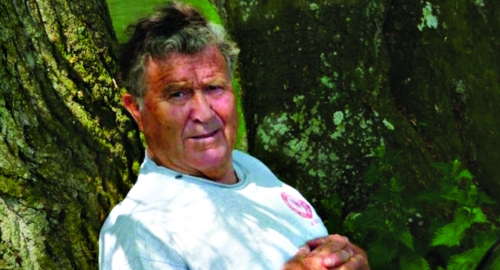Šerlok