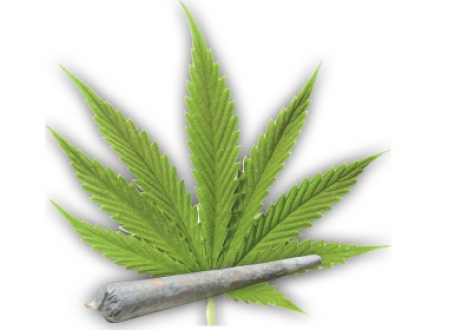 Marihuana