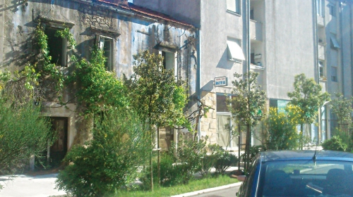 Srpska kuća na  rivi u Obrovcu  zarasla u korov