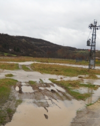 Foto: Lj. Mitić