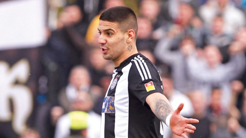 Buran  temperament:  Aleksandar  Mitrović