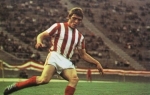 Miloš Šestić