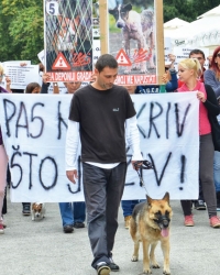 Protest za  napuštene  životinje