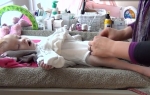 Malena Ela Luis je  živela tek 10 meseci