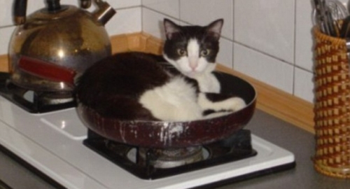 Foto: Awkward Family Photos