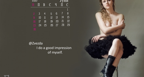 Tviter kalendar | Foto: 