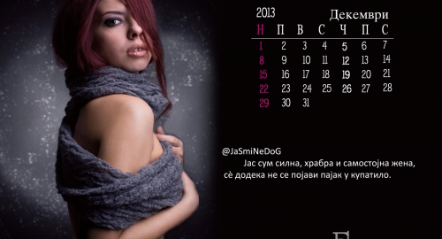 Tviter kalendar | Foto: 