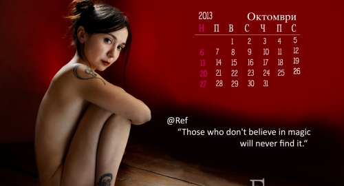 Tviter kalendar | Foto: 