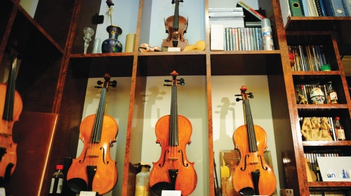 Dosad napravio  23 violine