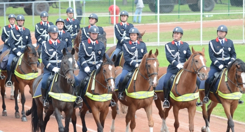 Defile i pokazne vežbe pripadnika MUP-a | Foto: 