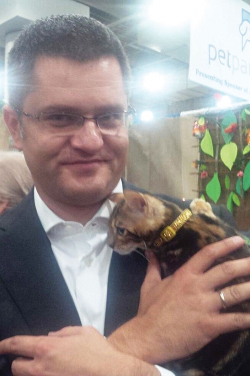 Uoči puta za Srbiju Vuk mazio mace na izložbi u Njujorku