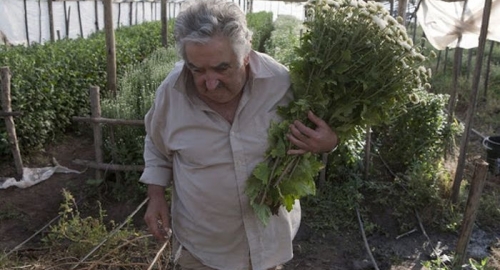 Ne plaši se da uprlja ruke - Hose Muhika