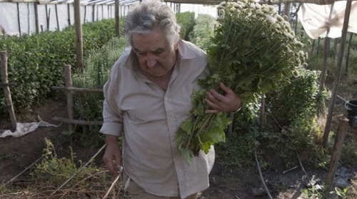 Ne plaši se da uprlja ruke - Hose Muhika