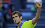 Marin Čilić