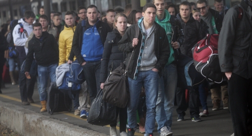 Disko voz Foto: Aleksandar Stanković