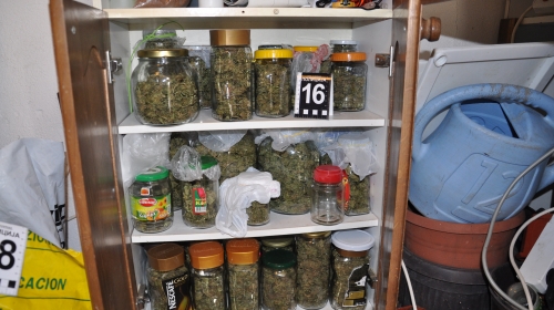 droga marihuana
