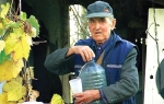 Vladimir cico