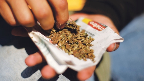 Nema  lakih  droga