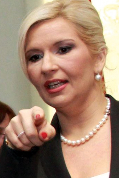 I „Srbijagas“ na proveri: Zorana  Mihajlović