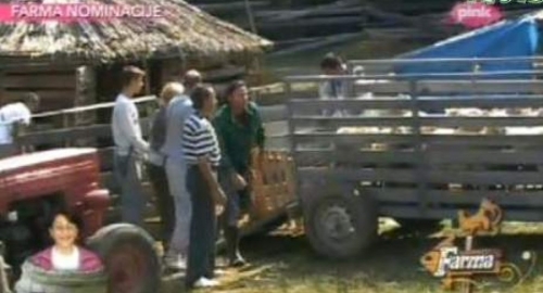 Memo pomogao utovar ovaca
