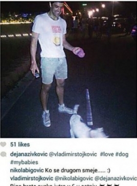 vladimir seta dejaninog psa