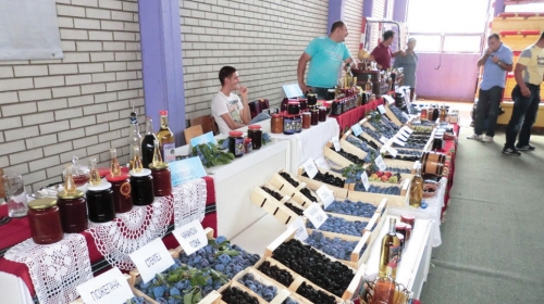 Rekordne količine  ovogodišnjeg roda najvećim delom završiće u rakiji