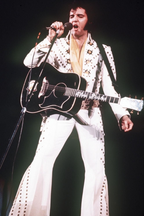 Kralj bine - Elvis Prisli