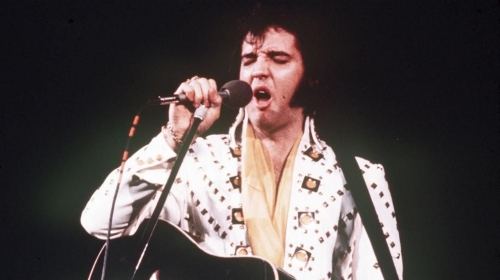 Kralj bine - Elvis Prisli