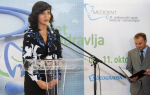 Jelena Vasiljević