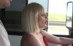 Maja Nikolić