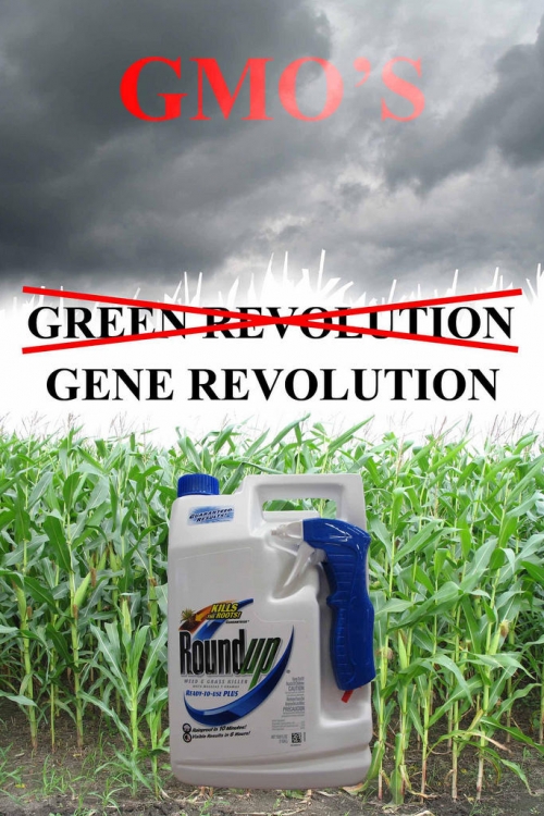 GMO hrana