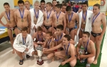VK Partizan
