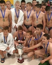 VK Partizan
