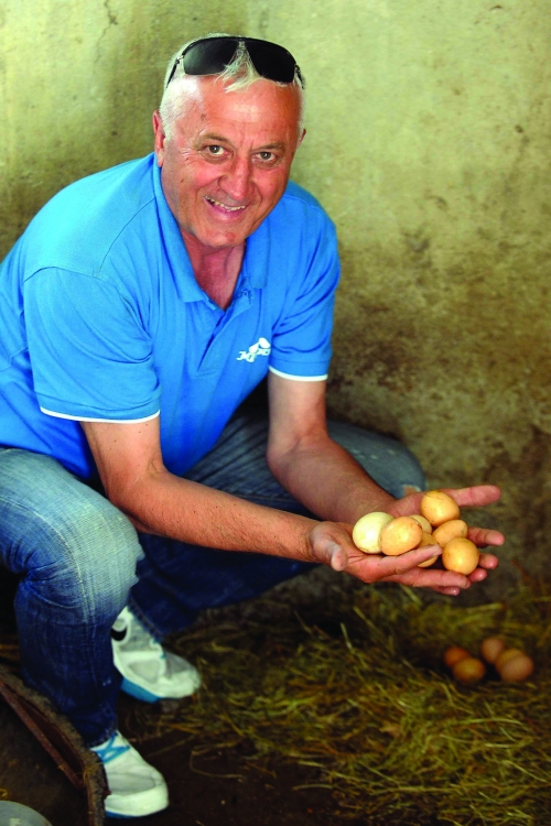Era Ojdanić