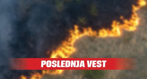 Pokrivalica požar Šumski