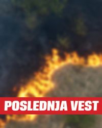 Pokrivalica požar Šumski