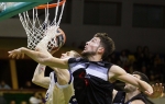 partizan