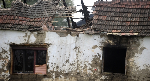 Debeljača / Foto: Dušan Milenković | Foto: 