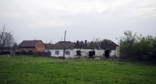 Debeljača / Foto: Dušan Milenković | Foto: 